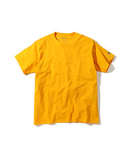Champion Classic Logo Jersey T-Shirt Tee T425 (USA)