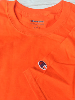 Champion Classic Logo Jersey T-Shirt Tee T425 (USA)