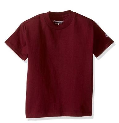 Champion Classic Logo Jersey T-Shirt Tee T425 (USA)