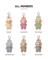 POPMART THE MONSTERS - Exciting Macaron V1 泡泡瑪特  Vinyl Face Blind Box