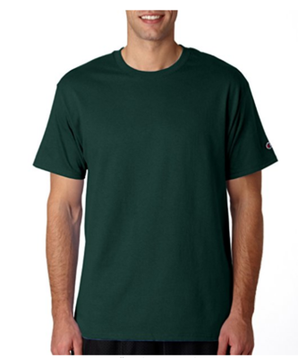 Champion Classic Logo Jersey T-Shirt Tee T425 (USA)