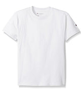 Champion Classic Logo Jersey T-Shirt Tee T425 (USA)