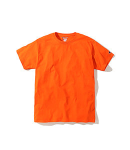 Champion Classic Logo Jersey T-Shirt Tee T425 (USA)